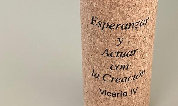 creacion-vicaria4