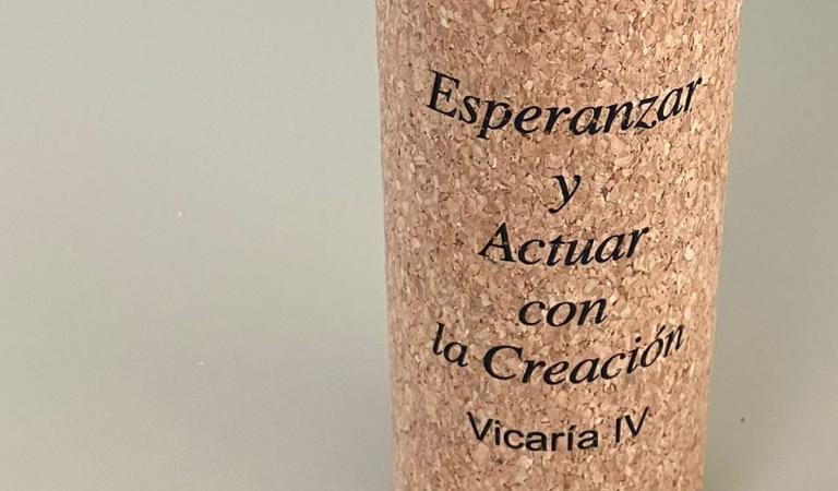 creacion-vicaria4